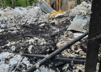 বন্দরে পাটের গোডাউনে আগুন