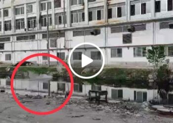 সরকার ও বিকেএমইএ‘কে বৃদ্ধাঙ্গুলি ইউরোটেক্স কর্তৃপক্ষের