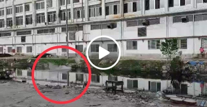 সরকার ও বিকেএমইএ‘কে বৃদ্ধাঙ্গুলি ইউরোটেক্স কর্তৃপক্ষের