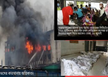 ডিএনএ পরীক্ষায় ৪৮ লাশের পরিচয় শনাক্ত