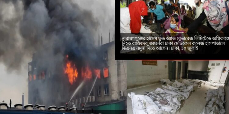 ডিএনএ পরীক্ষায় ৪৮ লাশের পরিচয় শনাক্ত