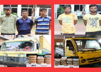 নারায়ণগঞ্জে ট্রাকে ট্রাকে গাঁজা ! গ্রেফতার ৫