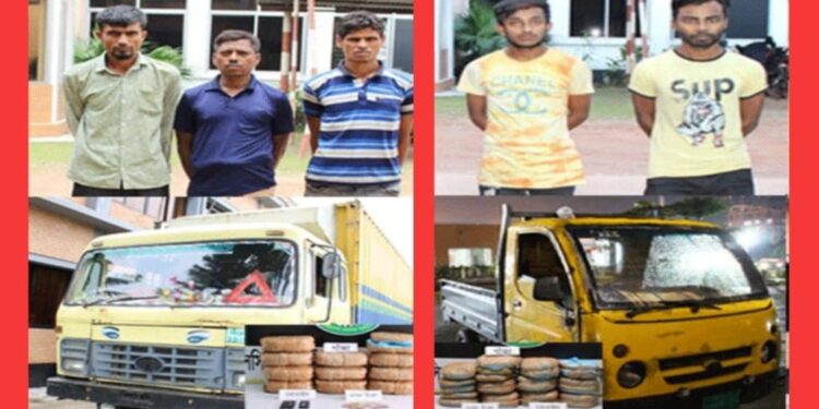 নারায়ণগঞ্জে ট্রাকে ট্রাকে গাঁজা ! গ্রেফতার ৫