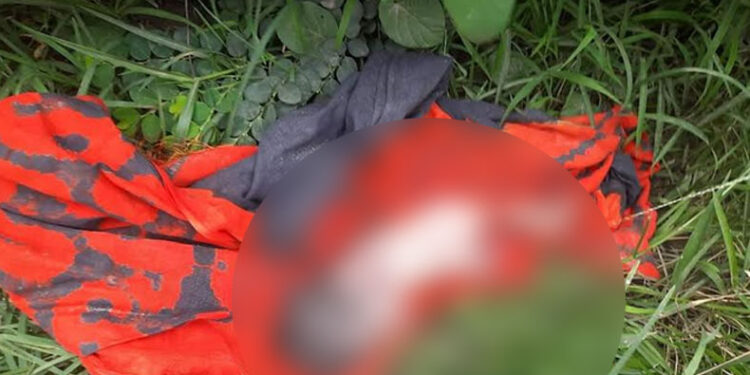 রূপগঞ্জে নবজাতকের লাশ উদ্ধার