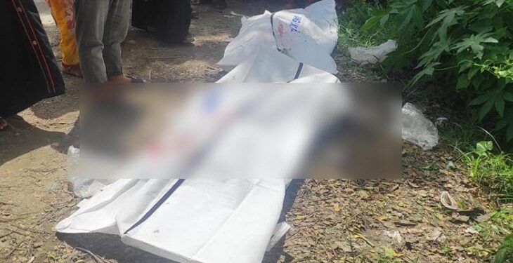 সোনারগাঁয়ে সড়কে প্রাণ গেলো নানি-দাদির