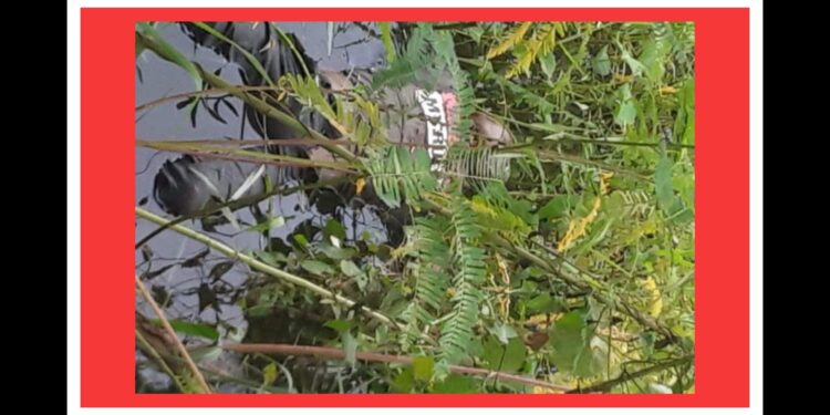 মুন্সিগঞ্জে নিখোঁজ ইজিবাইক চালকের লাশ ফতুল্লায় উদ্ধার