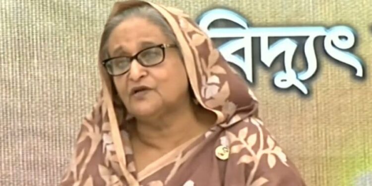 নারায়ণগঞ্জ মেঘনাসহ পাঁচ বিদ্যুৎকেন্দ্র উদ্বোধন করলেন প্রধানমন্ত্রী