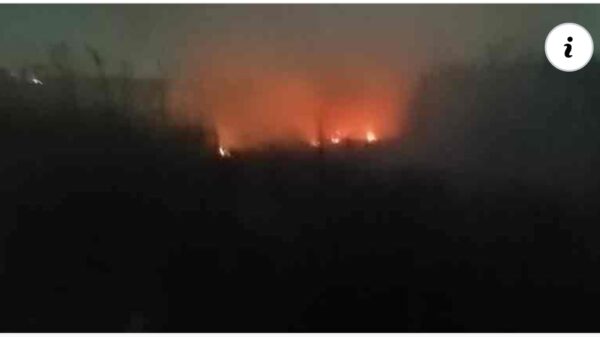 সোনারগাঁয়ে কাশবনে দুর্বৃত্তদের আগুন