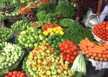 ৫০ টাকার নিচে নেই সবজি, মাছ-মুরগিও ধরাছোঁয়ার বাইরে