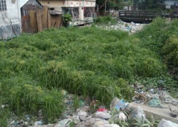 ফতুল্লায় ভাগাড় না থাকায় বর্জ্য ফেলা হচ্ছে ডিএনডি খালে