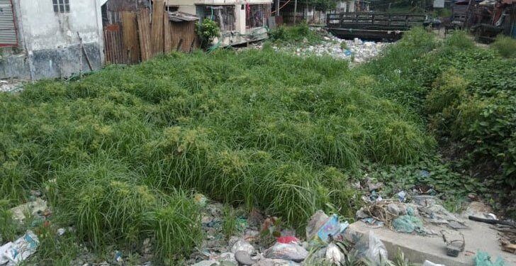 ফতুল্লায় ভাগাড় না থাকায় বর্জ্য ফেলা হচ্ছে ডিএনডি খালে