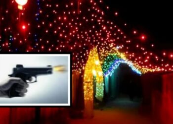 সোনারগাঁয়ে বরযাত্রী গুলিবিদ্ধ, অস্ত্র উদ্ধার