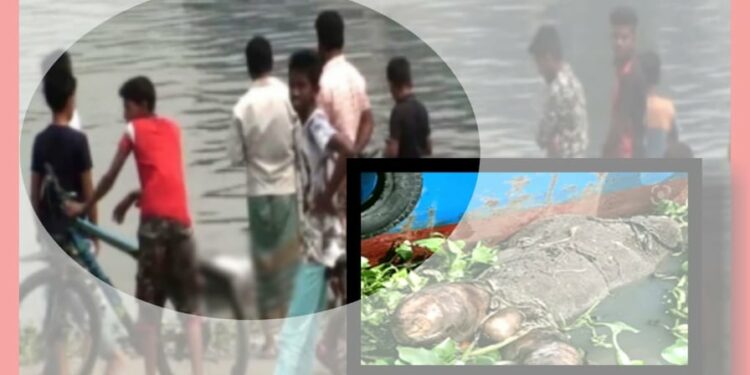 শীতলক্ষ্যায় অজ্ঞাত লাশ উদ্ধার