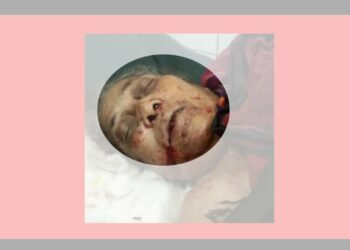 আড়াইহাজারে বৃদ্ধা খুন