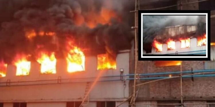 বন্দরে পোশাক কারখানায় আগুন, নিয়ন্ত্রণে ১৬ ইউনিট