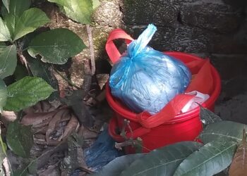 আড়াইহাজারে ৮ হাতবোমা উদ্ধার