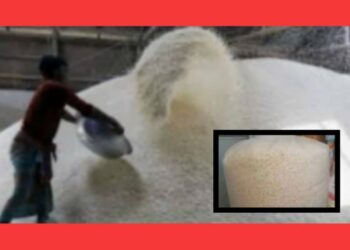 গ্যাসচুরি ও বিষ দিয়েই মুড়ি, পূর্বের ন্যায় প্রশাসন ম্যানেজ !