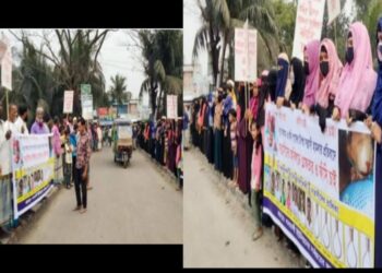 সোনারগাঁয়ে ক্রিকেট নিয়ে সংঘর্ষের ঘটনায় বিক্ষোভ