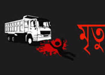 সোনারগাঁয়ে ট্রাক চাপায় অটোরিক্সা চালক নিহত