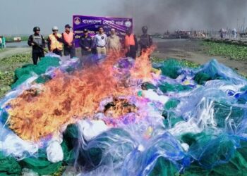 ৬ লাখ মিটার কারেন্ট জাল আগুনে পুড়িয়ে ধ্বংস