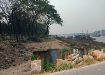 গাছ কেটে বিক্রি :  বিআইডব্লিউটিএ এর ভূমিকা রহস্যঘেরা