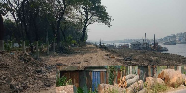 গাছ কেটে বিক্রি :  বিআইডব্লিউটিএ এর ভূমিকা রহস্যঘেরা