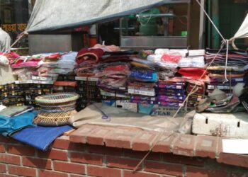 সিটি কর্পোরেশনের ফুলের টবে হকারদের ব্যবসা