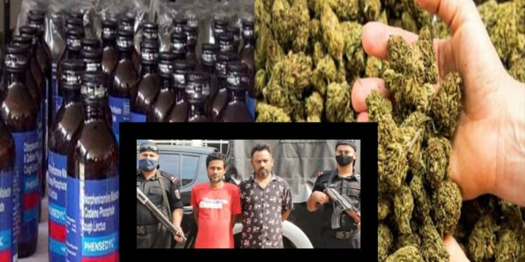 ১৩০৩ ফেনসিডিল, ৭ কেজি গাঁজাসহ গ্রেফতার ৯