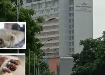 ফতুল্লায় অগ্নিদগ্ধ স্বামীর মৃত্যু, স্ত্রী আশঙ্কায়