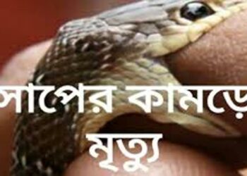 সাপের কামড়ে কৃষকের মৃত্যু