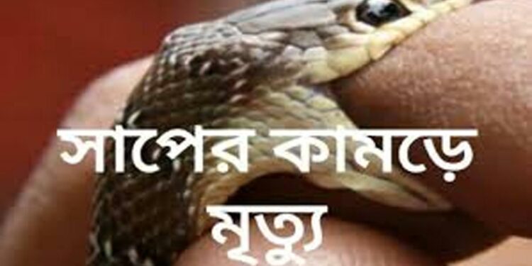 সাপের কামড়ে কৃষকের মৃত্যু