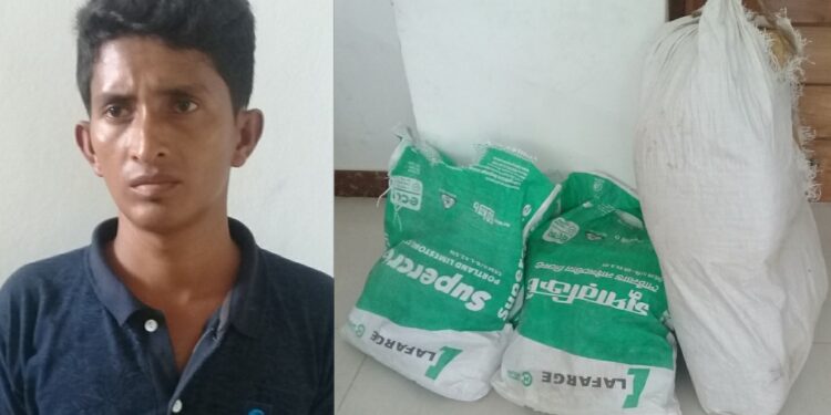 বন্দরে ৩২ কেজি গাজাসহ জমসেদ গ্রেপ্তার