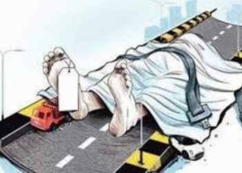 মাইক্রো চাপায় নারী নিহত