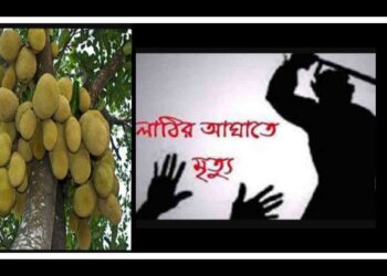 ছোট কাঠাল দেয়ায় বৃদ্ধা বোন খুন