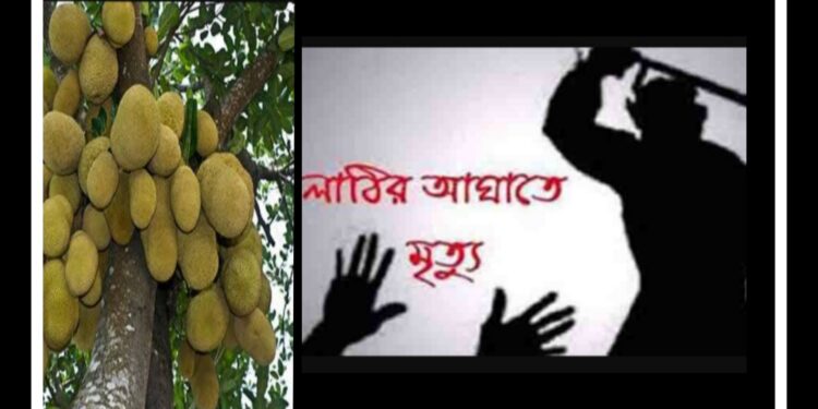 ছোট কাঠাল দেয়ায় বৃদ্ধা বোন খুন