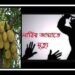 ছোট কাঠাল দেয়ায় বৃদ্ধা বোন খুন