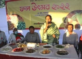 পদ্মা সেতু সকলের, উৎসব প্রত্যেকের : আইভী