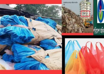 শপিং ব্যাগে সয়লাব নারায়ণগঞ্জ, ঘুমিয়ে পরিবেশ অধিদপ্তর