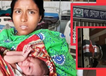 নবজাতককে নিয়ে মা ফিরলো বাড়ি, পদ্মা রক্ষায় চলছে তদ্বির