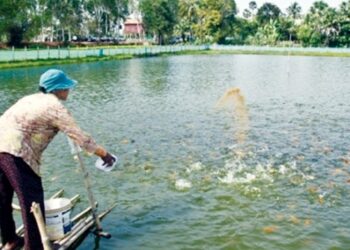 মৎস্যখাতে প্রণোদনায় ব্যাপক অনিয়মের অভিযোগ