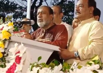 মঞ্চ থেকেই সেলিম ওসমানের মুঠোফোন গায়েব