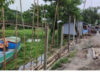 সোনারগাঁয়ে ভুমি কর্তার কান্ড : গাছ কেটে দোকান নির্মান !