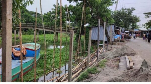 সোনারগাঁয়ে ভুমি কর্তার কান্ড : গাছ কেটে দোকান নির্মান !