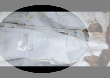 আড়াইহাজারে পুকুরে ডুবে দুই শিশুর মৃত্যু