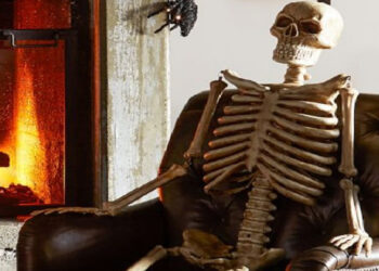 ২ বছর সোফায় পড়েছিল লাশ