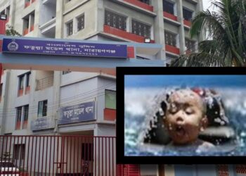 পুকুরে ডুবে শিশুর মৃত্যু