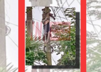 আড়াইহাজারে ট্রান্সফরমার চুরি করতে গিয়ে মৃত্যু