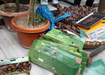 চাষাড়ার ফুটপাতে ‘ধরা পড়ে’ পালালেন বিক্রেতা