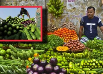 জ্বালানীতে জ্বলছে সবজি বাজার