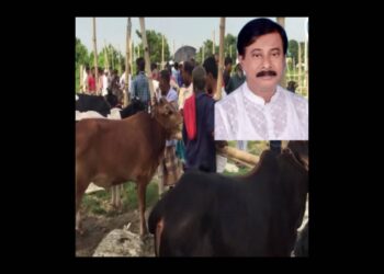 “আমি হ্যালো সরকার, আমি কি করতে পারি জানিস ?”